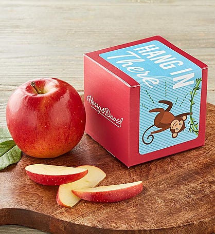 &#34;Hang in There&#34; Single Apple Gift